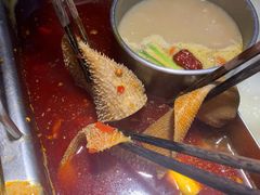 -大渝火锅(苏州西城永捷店)
