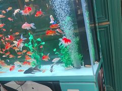 -雀蓝川菜(奥体广场店)