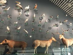 -中国湿地博物馆