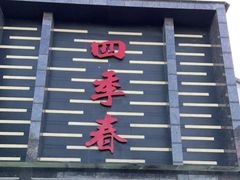 -四季春