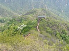 -大岭沟猕猴桃谷风景区