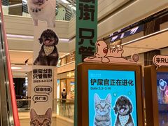 -大洋晶典(东街店)