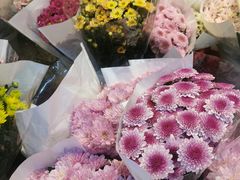 -循礼门鲜花花市(武汉循礼门店)