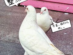 -万达广场(长沙开福店)