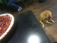 -盛天毛血旺非遗美食(观音桥店)