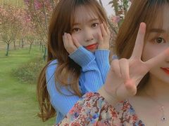 -合肥滨湖国家森林公园