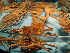 -渔傅·霞浦滩涂海鲜(建平店)