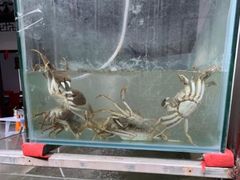 -乡乐园蟹庄·阳澄湖农家乐