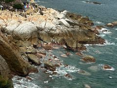 -广东惠东海龟国家级自然保护区