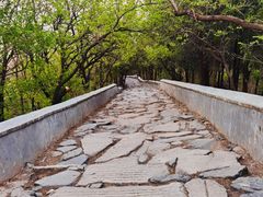 -阳台山自然风景区