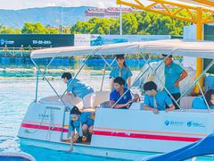 -三亚海昌梦幻海洋不夜城