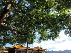 -知味观(湖滨总店)