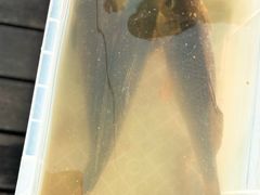 -酷鱼垂钓CLUB(朝阳区博大路店 )