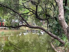 -人民公园(罗湖区)