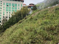 -三清山希尔顿度假酒店