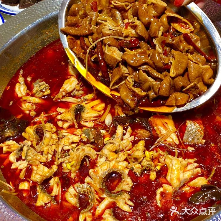 我在成都也吃到了超好吃的乌鱼火锅‼️59·9r鱼蛙混吃不限量！