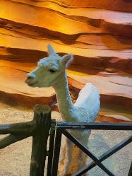 -酷嗒动物文化乐园(cutezoo西溪乐天城店)