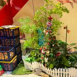 特色菜今日之选