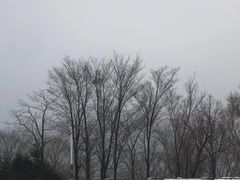-亚布力新体委滑雪场