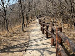 -北京十三陵国家森林公园蟒山景区