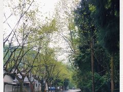 -都江堰普照寺
