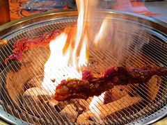 -杨小佳·齐齐哈尔烤肉·烤串(广州店)