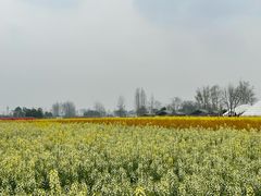 -中国天府农业博览园