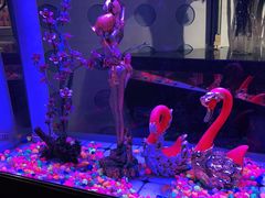 -巴特餐饮6加1音乐餐吧·新疆菜