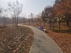 -东郊湿地公园