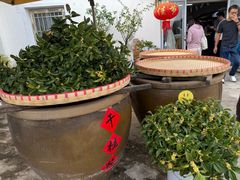 -苏州市吴中区光福窑上花果蜜饯厂