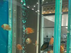 -悦百味·品质川菜(橄榄郡店)