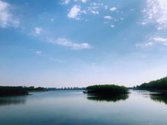 -丁香湖公园