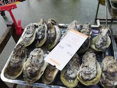 -蚝专家(北滘店)