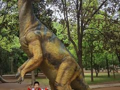 -中国西峡恐龙遗迹园