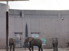 -鄂尔多斯野生动物园