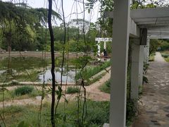 -国家植物园南园