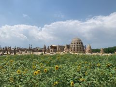 -镇北堡西部影城