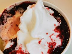 -Salud撒露欧洲冻酸奶(798艺术区店)
