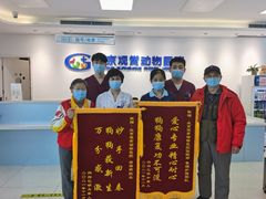 -北京观赏动物医院·24小时大型综合·猫专科·异宠专科