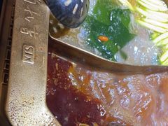 -蜀九香火锅(彩虹店)