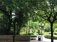 -九龙公园