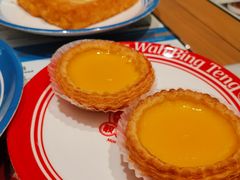 新鲜出炉酥皮蛋挞-敏华冰厅(天河城店)