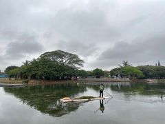 -海上田园