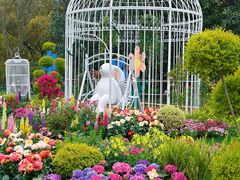 -上海共青森林公园