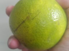 -果叔叁拾加(海师大店)