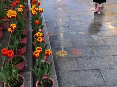 -东钱湖水上乐园(南门)