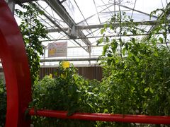 -兰陵国家农业公园