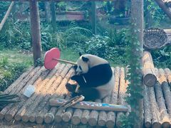 -大连森林动物园