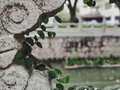 -安亭老街