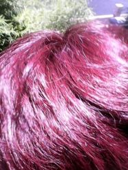 点击看大图 android_upload_pic-Tipo Hair salon(明星)店